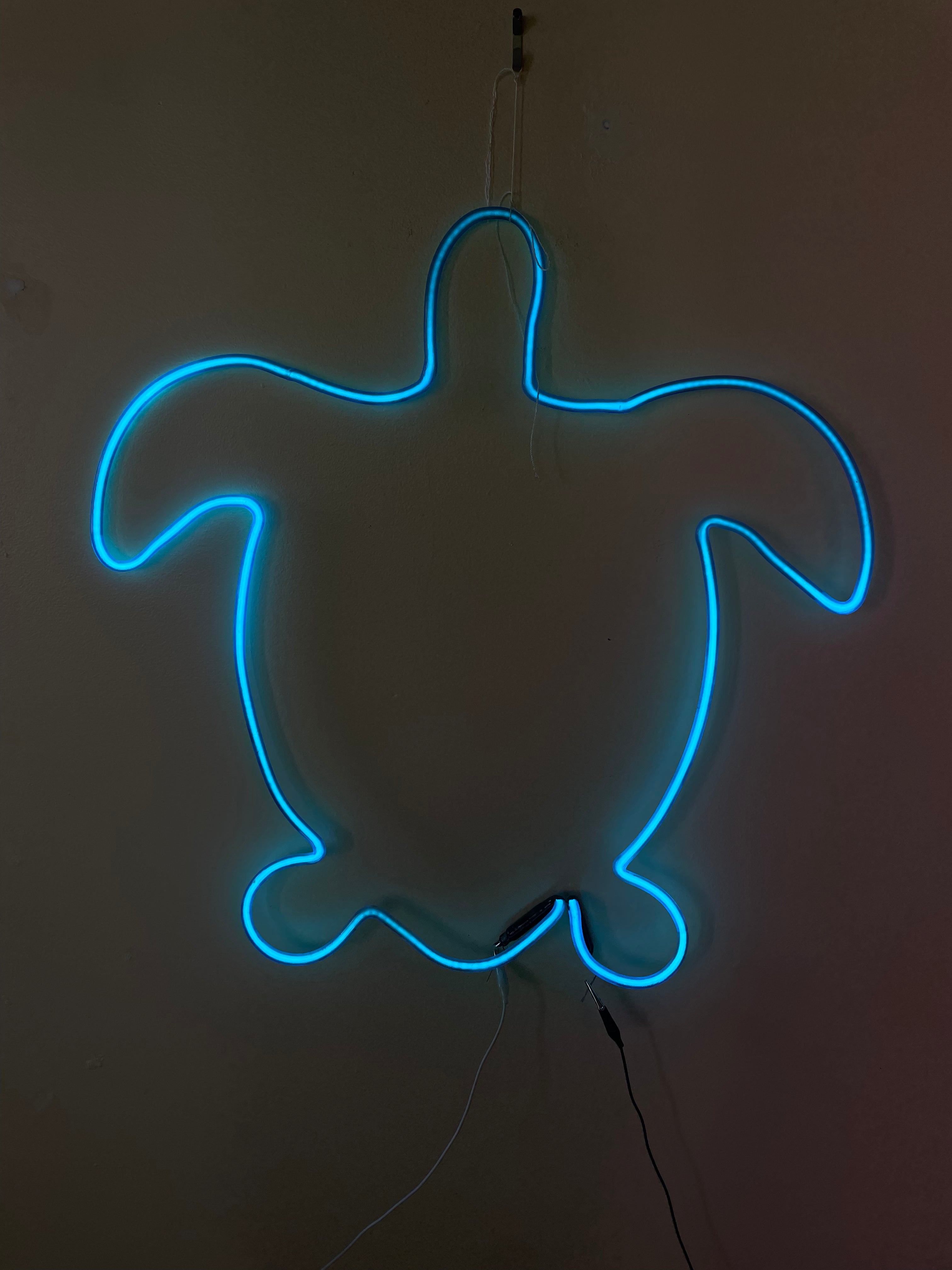 Blue Turtle – Uptown Neon